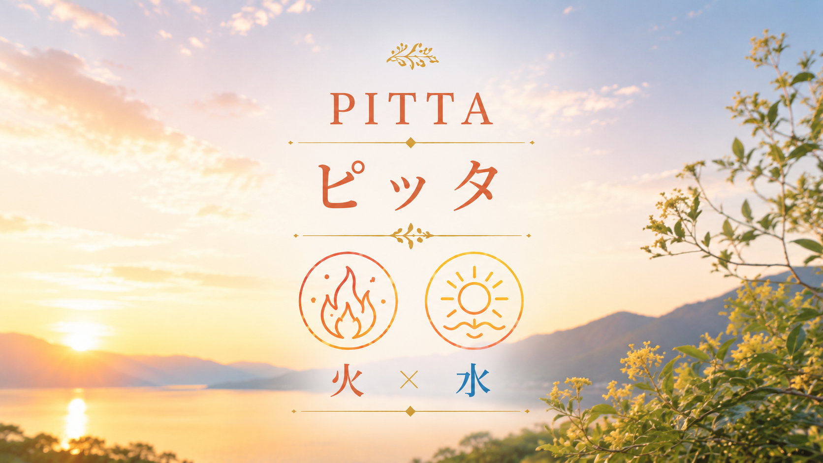 ピッタ（PITTA）におすすめの商品