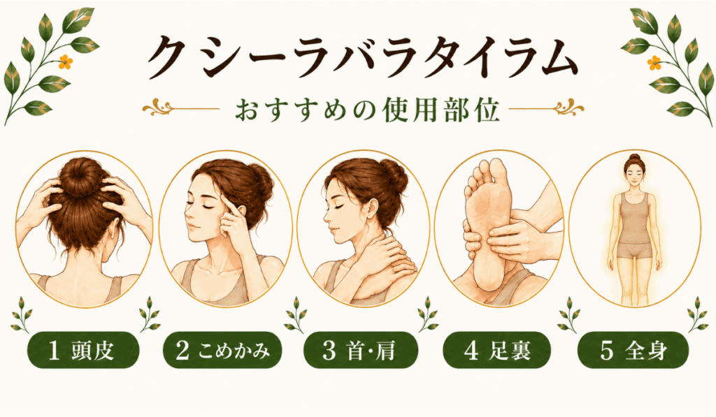 クシーラバラタイラム コッタカル おすすめの使用部位